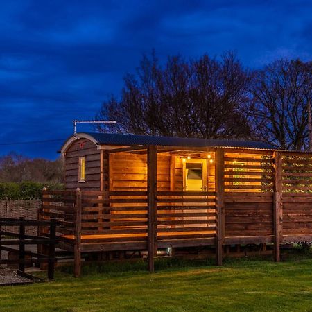 Hillside View Shepherds Hut - Ockeridge Rural Retreats Little Witley Esterno foto