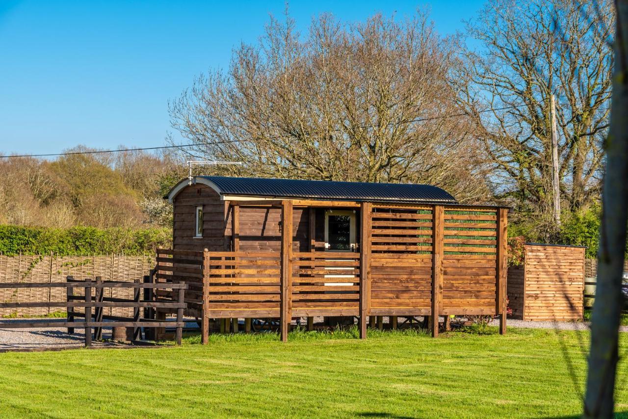 Hillside View Shepherds Hut - Ockeridge Rural Retreats Little Witley Esterno foto